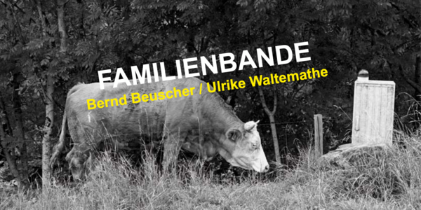 Kunstausstellung FAMILIENBANDE - Vernissage
