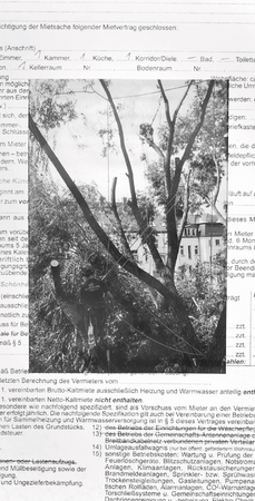 Florian Glaubitz - OFFSET - Finissage