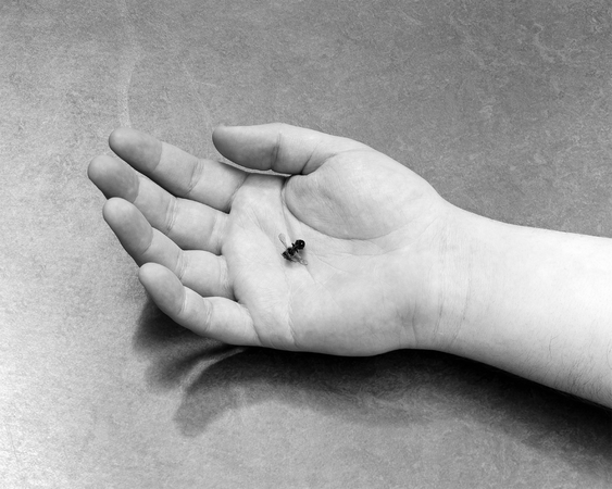 Simon Ringelhan: LIKE THE SKY I'VE BEEN TOO QUIET