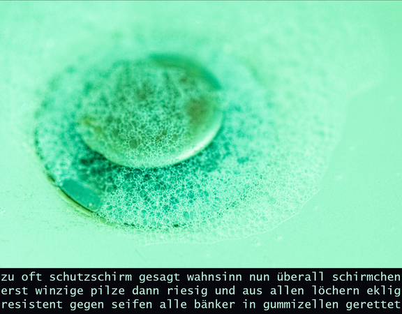 Berichte aus der Einsiedelei "Täglich...Persönlich"