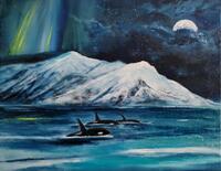 an arctic night