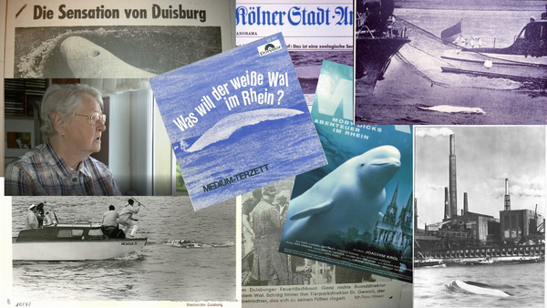 Farewell, Willi de Waal - der Wal findet zum guten Schluss wieder ins offene Meer
