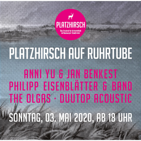 Platzhirsch auf Ruhrtube!