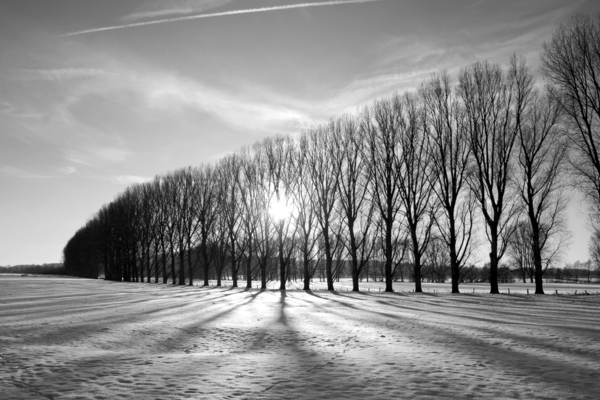 Niederrhein Fotos - Digitale Galerie