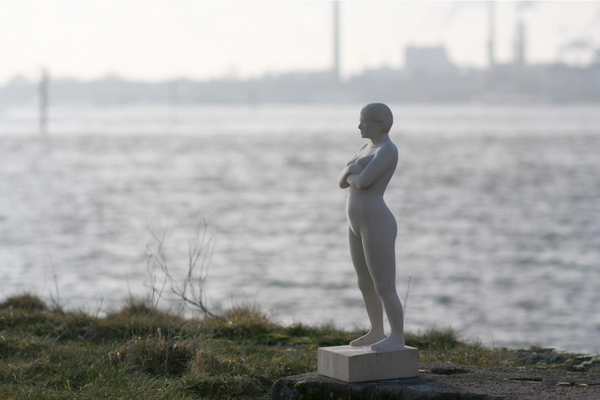 Skulptur und Fotografie