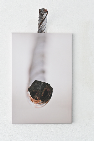 Sigrid Neuwinger: Faszination Ludwigturm