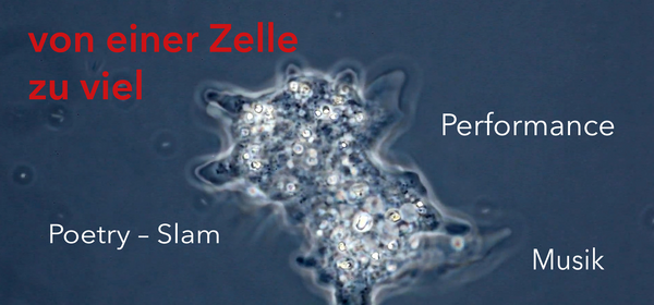 Von einer Zelle zu viel