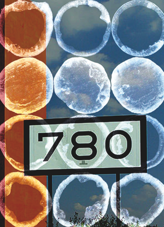 r(h)ein fluid 780 -- Ulrika Eller-Rüter