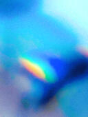 Detail aus einem Bild in der neuen Lichtbilder 2.0 Ausstellung in der Stadtteilbibliothek Sterkrade, Start 22.06.-24.08.2024