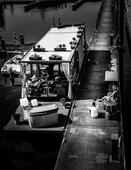 LEBEN im HAFEN                                                                                         photo TJ copyright 2025