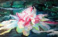 Seerose, Aquarell auf Papier, 120x60 cm