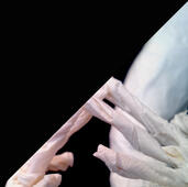 DETAIL DER WOCHE