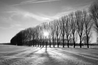 Niederrhein Fotos - Digitale Galerie